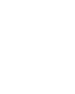 Logo_PTP_blanco_250_311